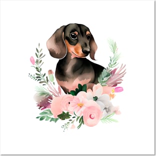 dachshund Posters and Art